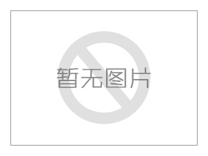 威克达输送缝包机技术参数